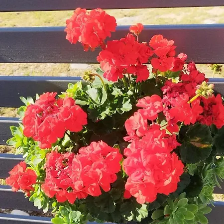 Natasha Villa Makarska