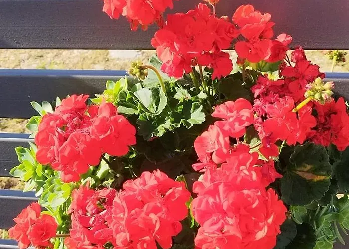 Natasha Villa Makarska