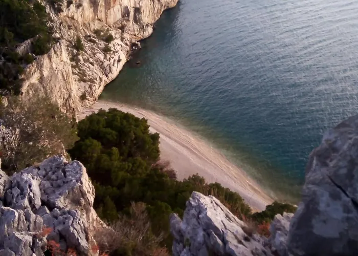 Natasha מאקרסקה